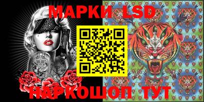 стафф Берёзовский