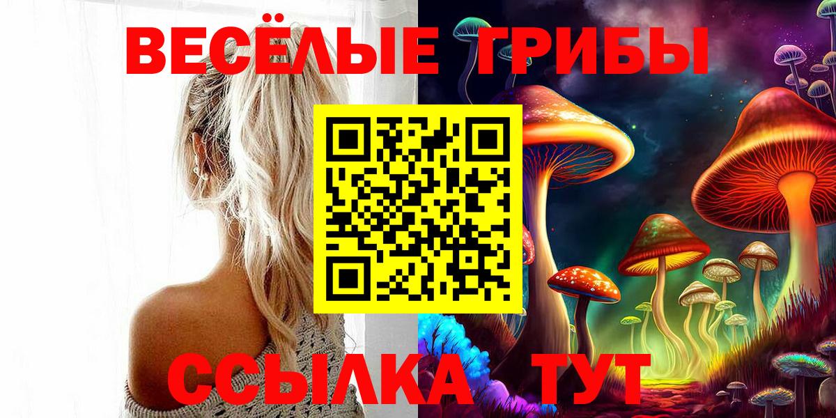 Зеленокумск  Галлюциногенные грибы MAGIC MUSHROOMS  Вход с VPN 