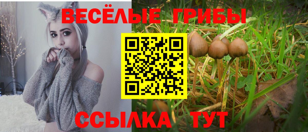 Галлюциногенные грибы GOLDEN TEACHER Зеленокумск